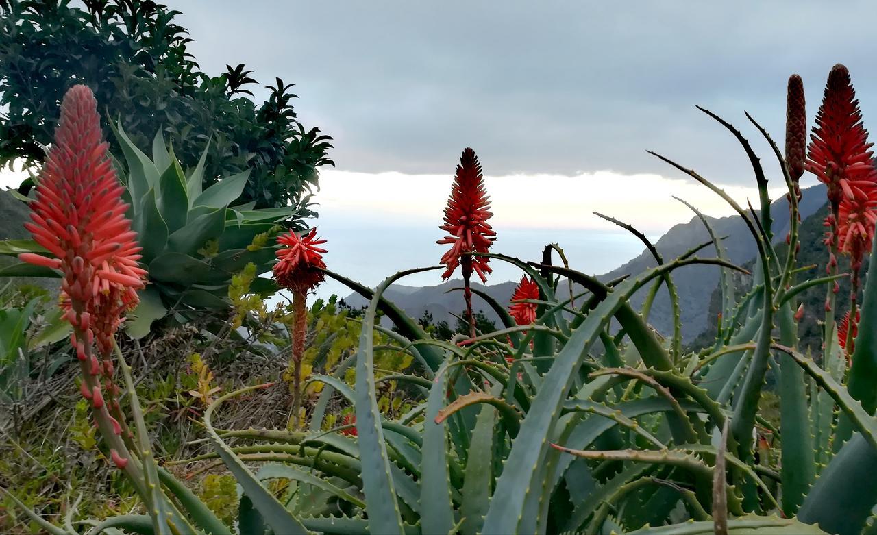 Casa La Montana Villa El Cedro Eksteriør billede